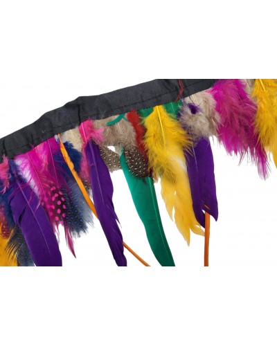 Plumas pintadas y de faisán